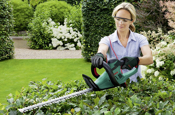TOP 10 » Die besten Heckenscheren im Test